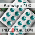 Kamagra 100 dapoxetine2